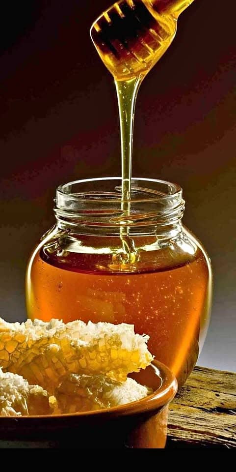 Apricot Farm Honey 1