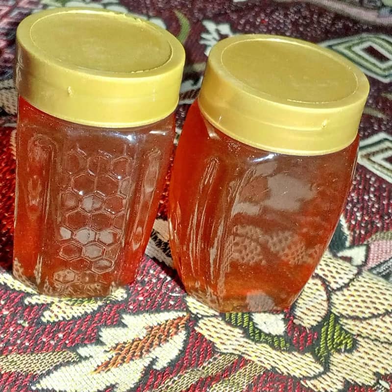 Apricot Farm Honey 3