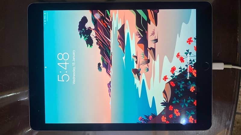 Ipad Air 2 64gb Condition brand new 4