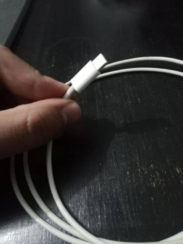 Apple orginal charger 6