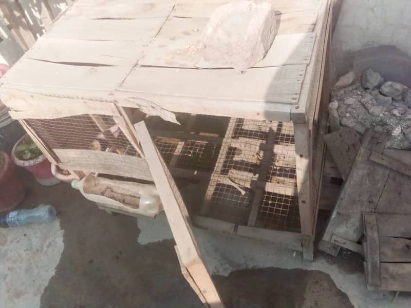 Hens Cages,  Wood phaty and steel sheet in different prices 19