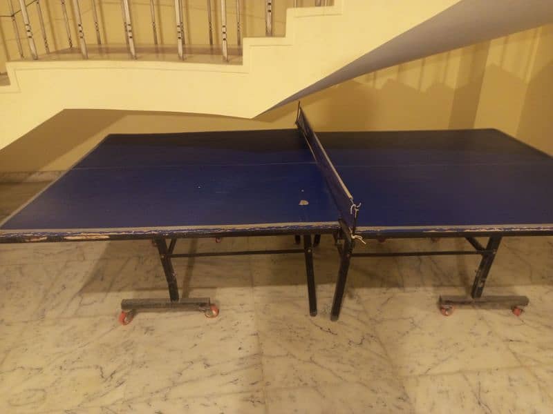 table tennis 5