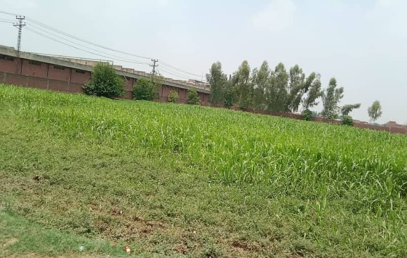 16 kanal Industrial Plot available for sale on Multan road 2