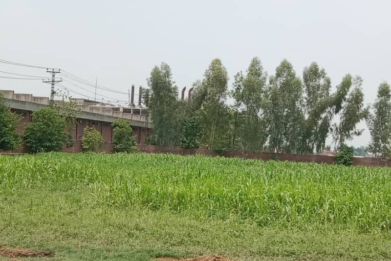 16 kanal Industrial Plot available for sale on Multan road 5