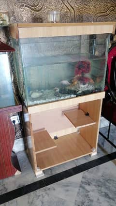 Fish Aquarium 2ft size