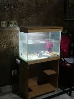 Fish Aquarium 2ft size