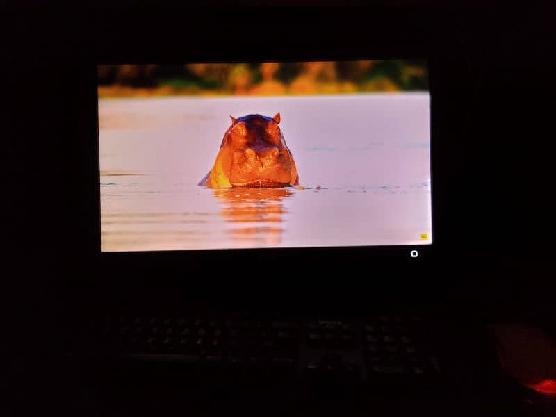 23 Inch Monitor HP | Dell | LG For Sale 2