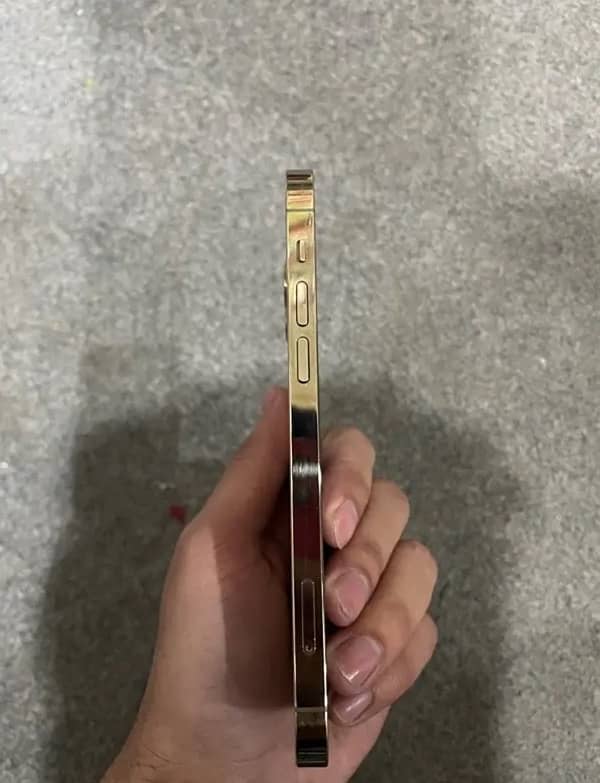 iPhone 12 pro non pta 1