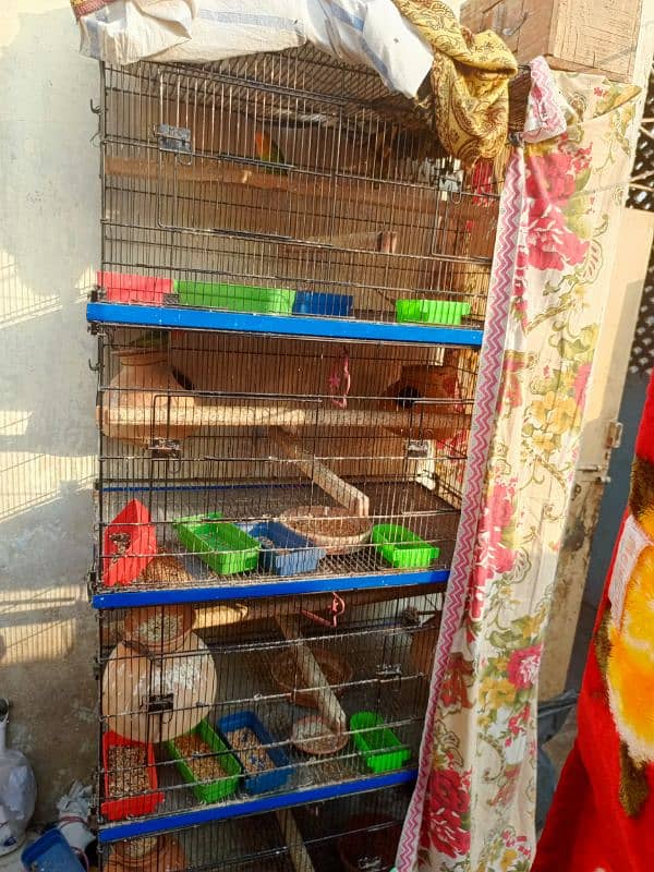 Parrot Cages 0