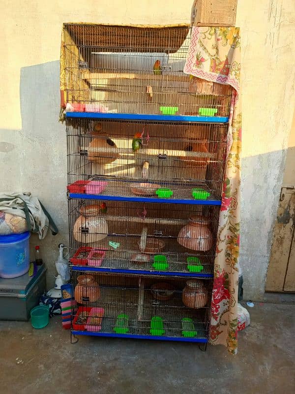 Parrot Cages 1