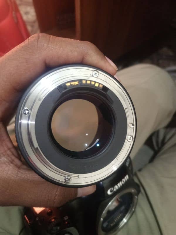 Canon 85mm f1.8 for seal all ok 2