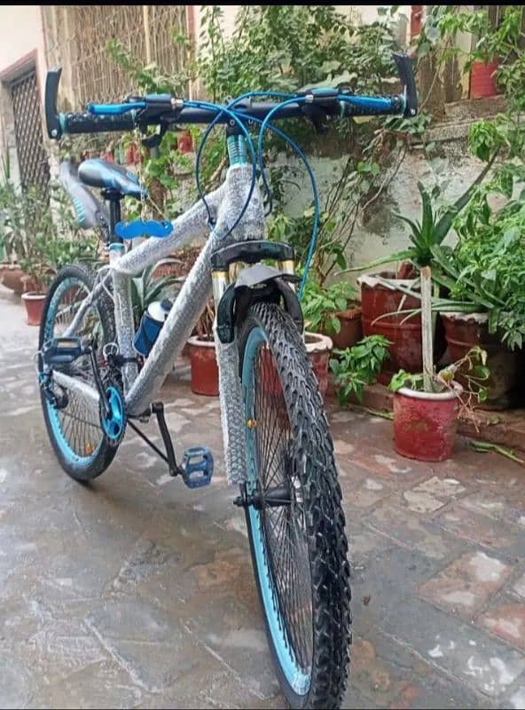 mountain lazer bicycle 2