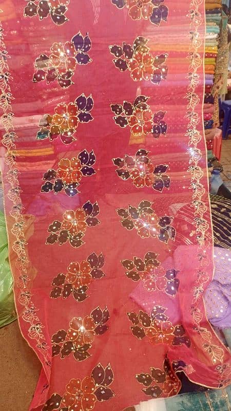 organza paint dupatta 1