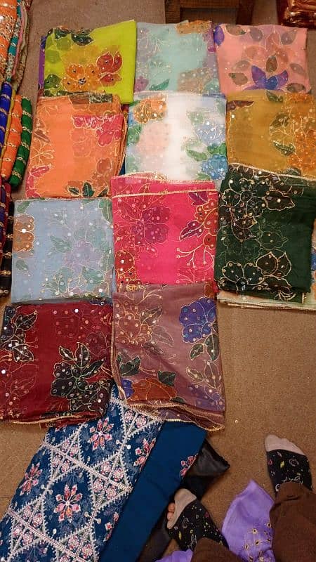 organza paint dupatta 3