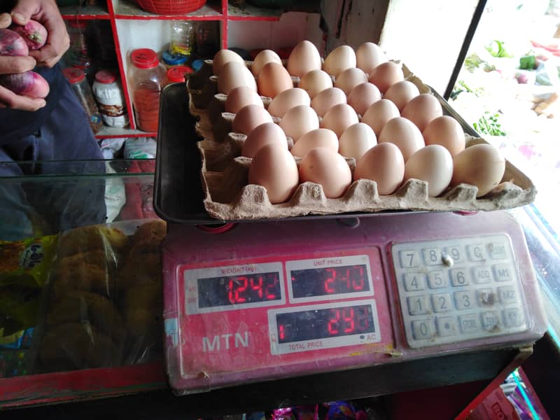 Golden misri desi eggs available for selling 0