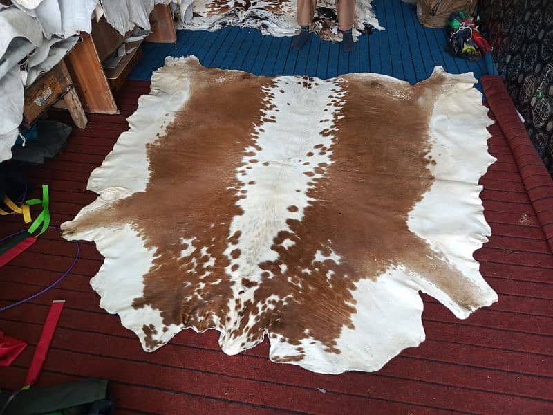 Cowhide Rugs Skins 6