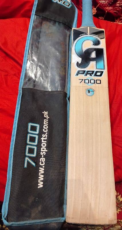 CA Pro 7000 bat 3