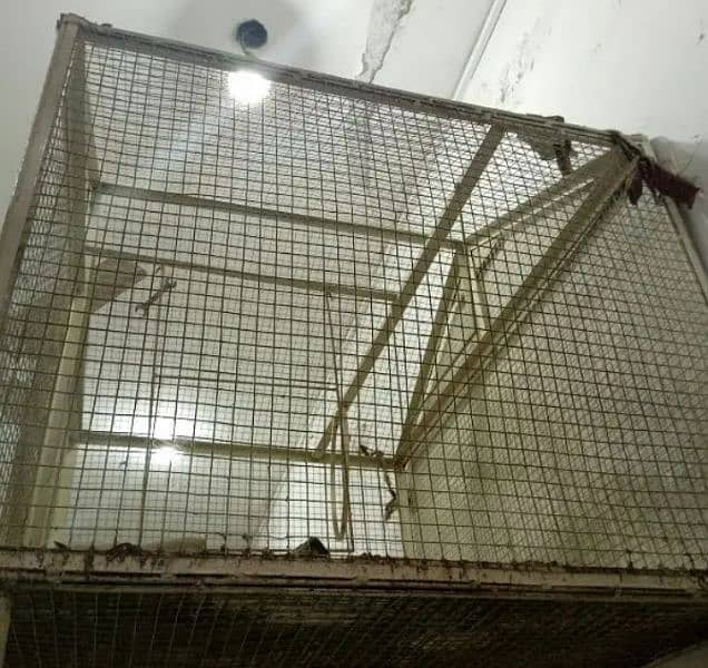 a cage for your parrots and hens or other 0