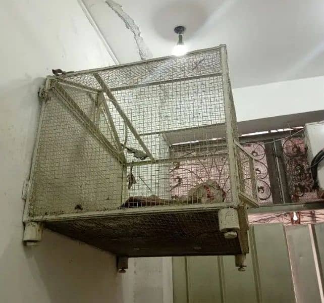 a cage for your parrots and hens or other 1