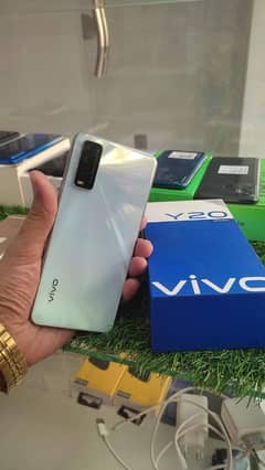 vivo