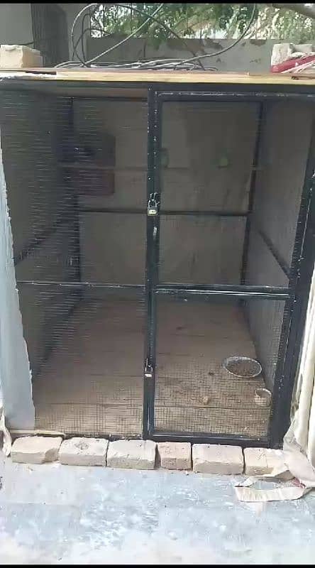 Parrot Cage Size,height 5ft,length 5ft,width 4.5 ft 0