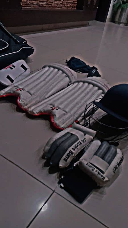 Hard ball cricket kit 1