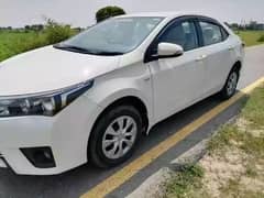 Toyota Corolla XLI 2017