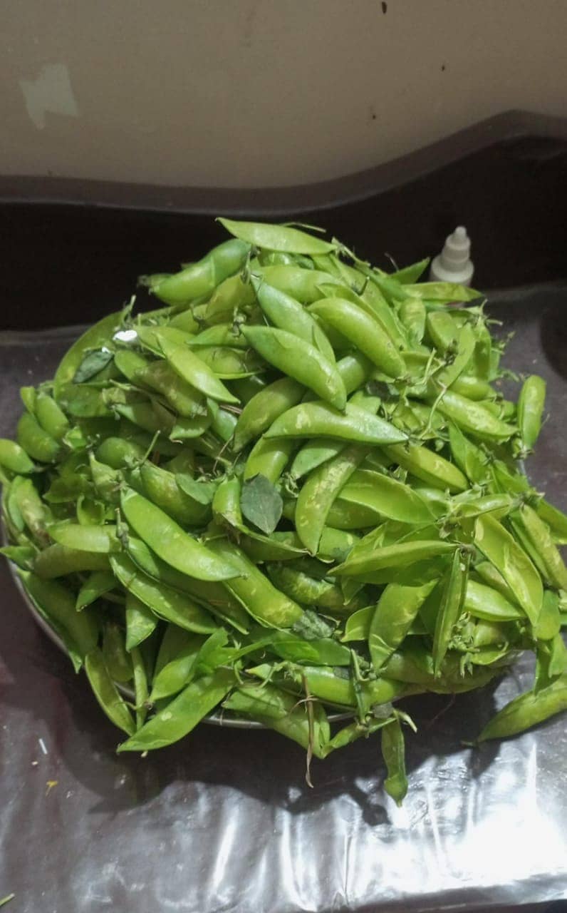 PEA PEEL (Matter k Shilke ) 2