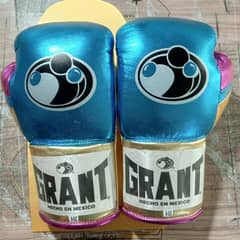 Winning Racsin Boxing Gloves