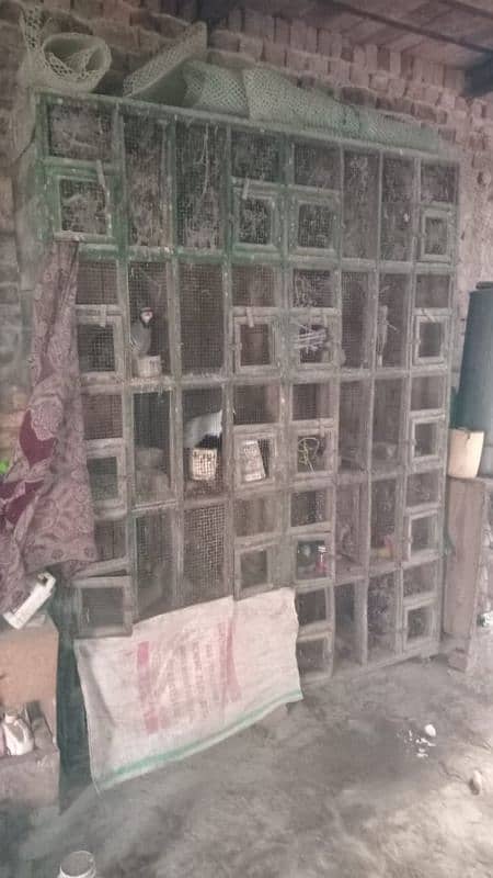 Birds Cage for sale 0