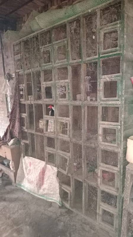 Birds Cage for sale 1