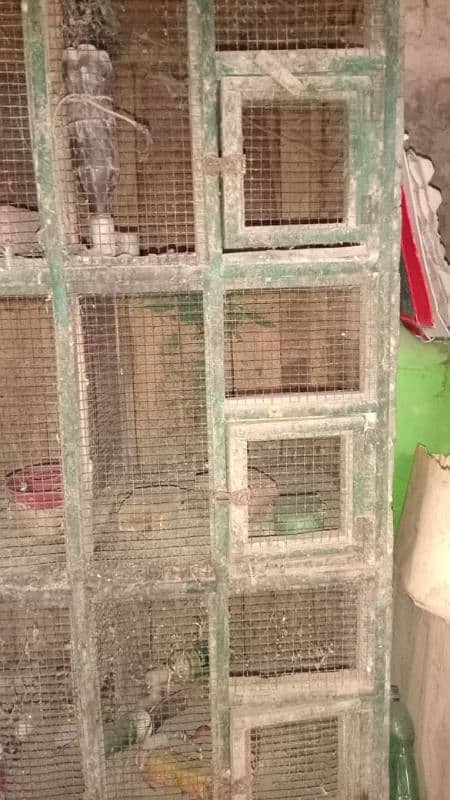 Birds Cage for sale 2