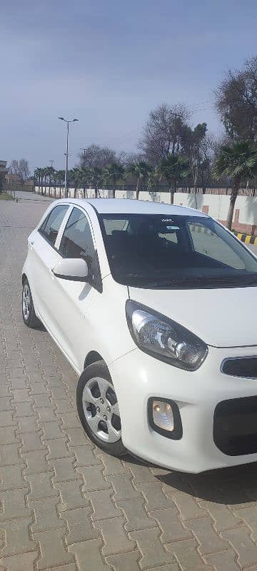 KIA Picanto 2020 Automatic Total Original 1