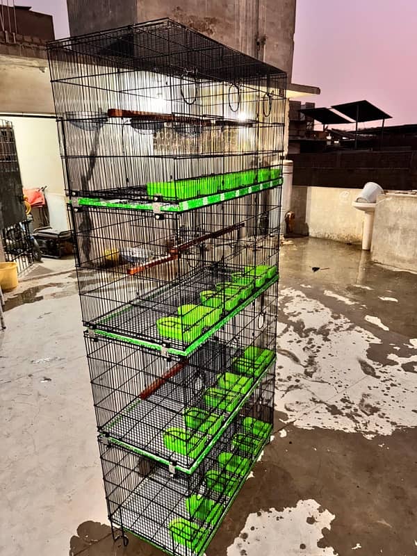 Cage for sale 7