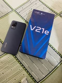 Vivo .