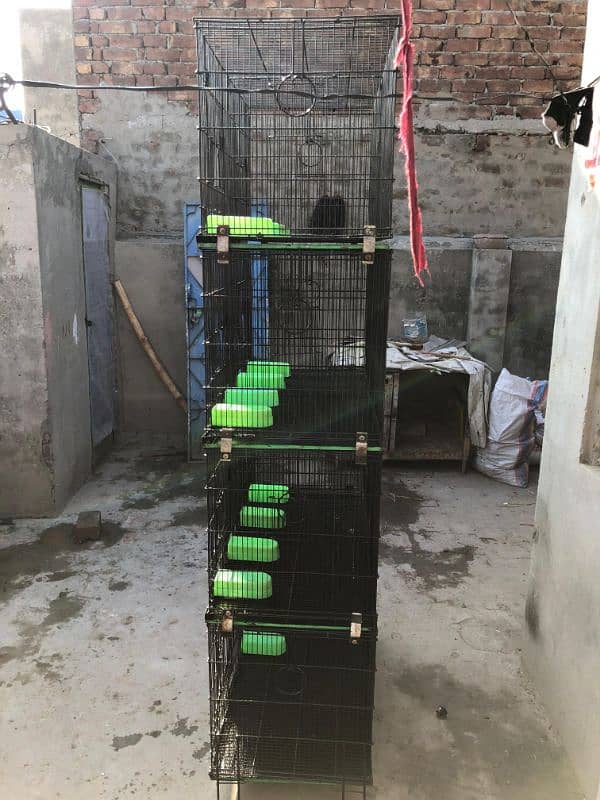 FOLDING CAGE 4