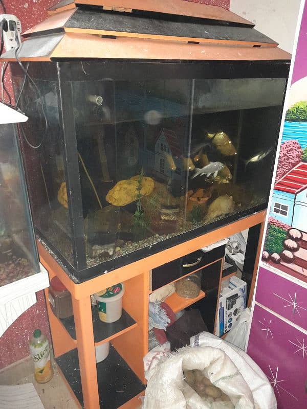 2 Aquarium with Fishes. 3