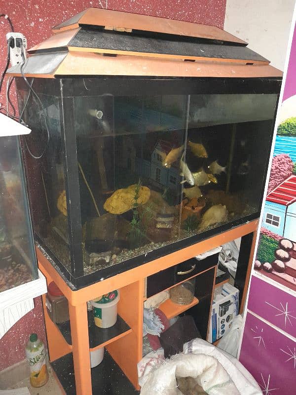 2 Aquarium with Fishes. 4