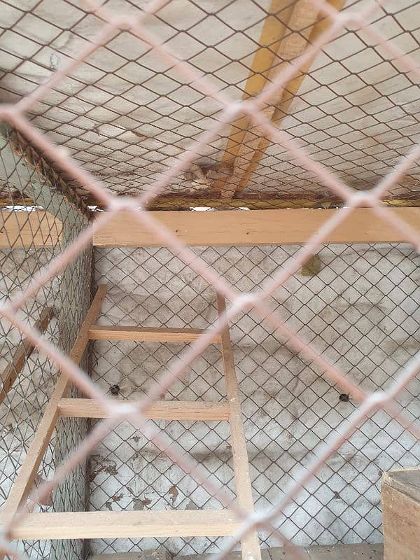 Wood cage best for birds 4