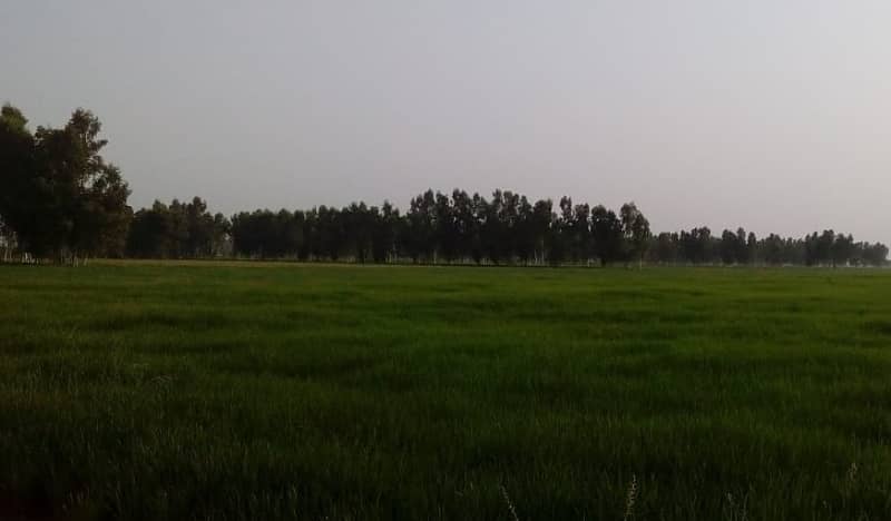 134 acre agricultural Land available for Sale 2