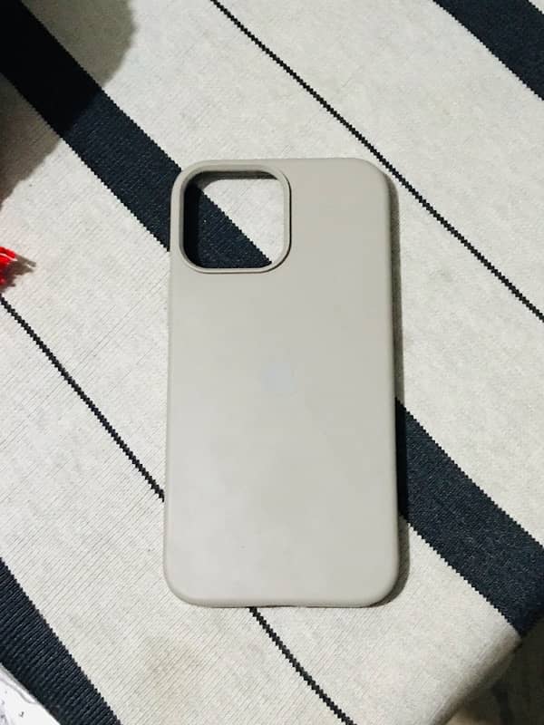 iphone 13 pro max case neat and clean 1