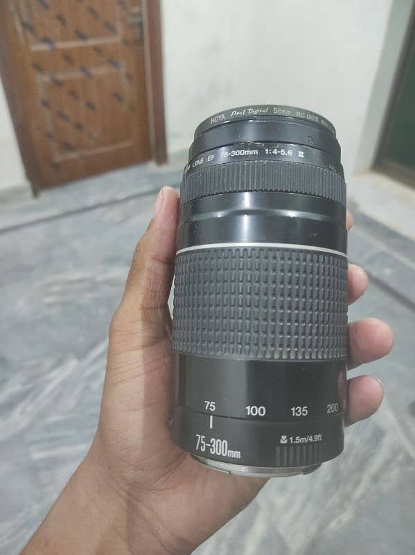 Canon 60d with 75-300mm lens 10