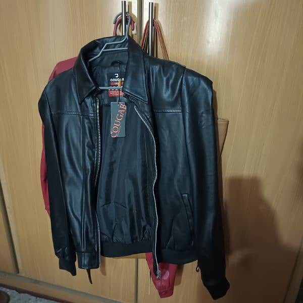 leather jackets for sale in i-10/1 1