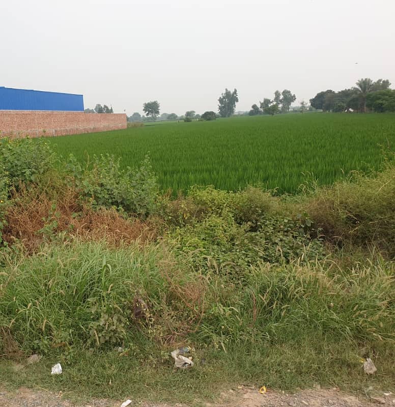 125 acre agricultural Land available for Sale on Kala Khatai road 3