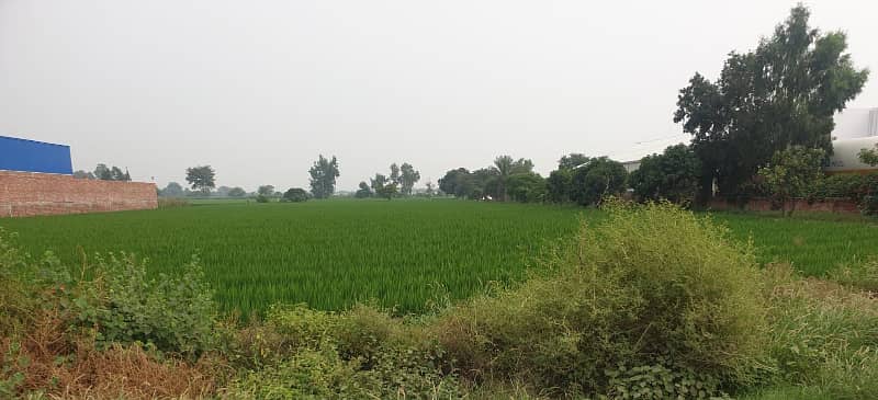 125 acre agricultural Land available for Sale on Kala Khatai road 4