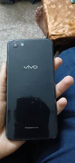 VIVO