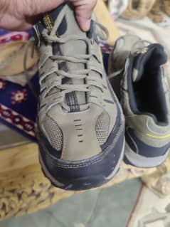 Sketchers original Good Condition