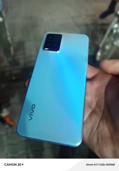 vivo