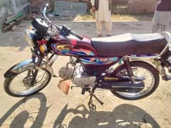 United 2024 model 70cc