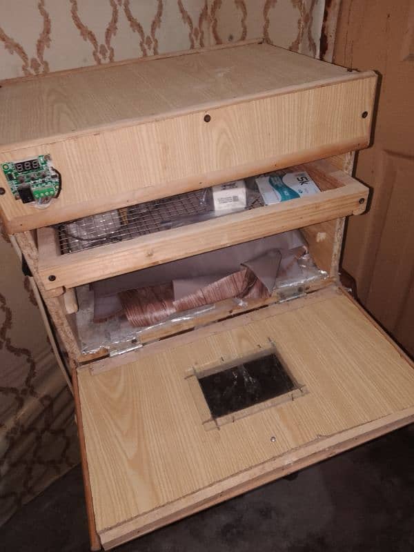 eggs incubator for sale 1